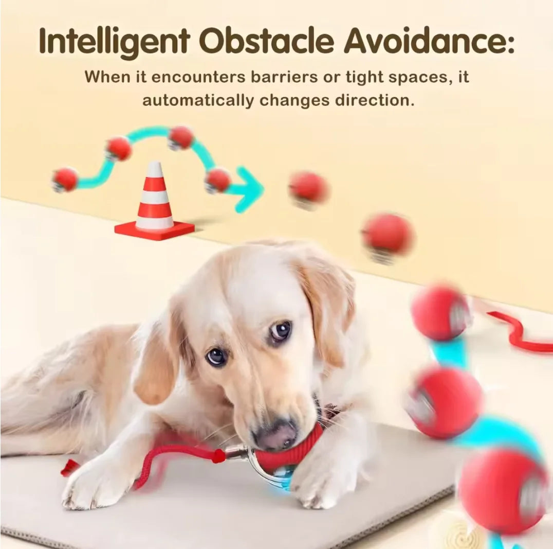 1Pcs Cat Interactive Ball Toys Automatic Rolling Ball Faux Tail Rechargeable Smart Pet Electric Toy Cat Training Imitate Mouse