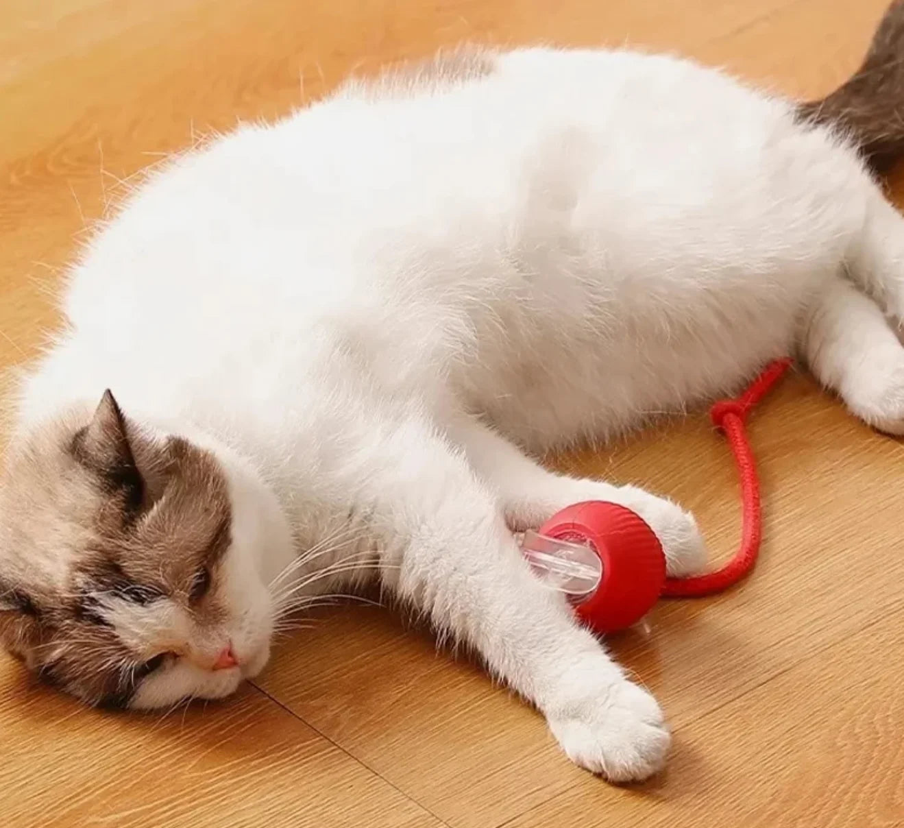1Pcs Cat Interactive Ball Toys Automatic Rolling Ball Faux Tail Rechargeable Smart Pet Electric Toy Cat Training Imitate Mouse