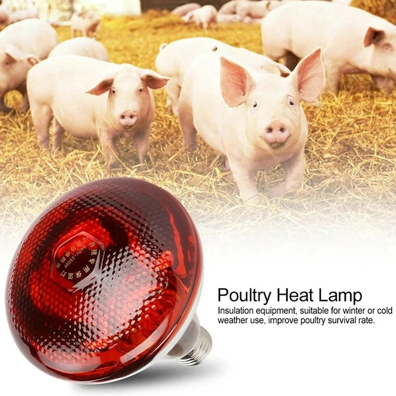 250W Poultry Infrared Heat Lamp Waterproof Anti-Explosion Thickened Light Bulbs For Piglet Chicken Duck Birds E27 Heating Lamp