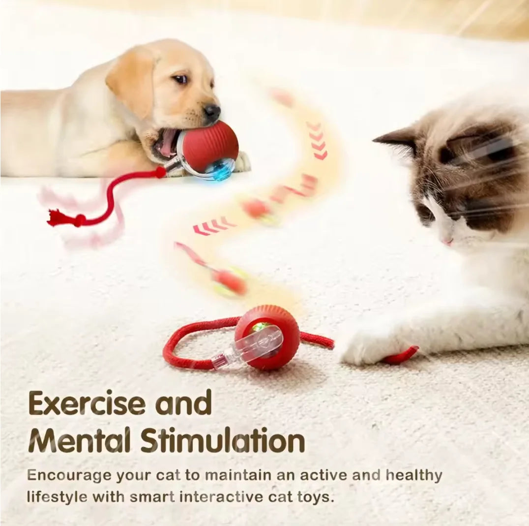 1Pcs Cat Interactive Ball Toys Automatic Rolling Ball Faux Tail Rechargeable Smart Pet Electric Toy Cat Training Imitate Mouse